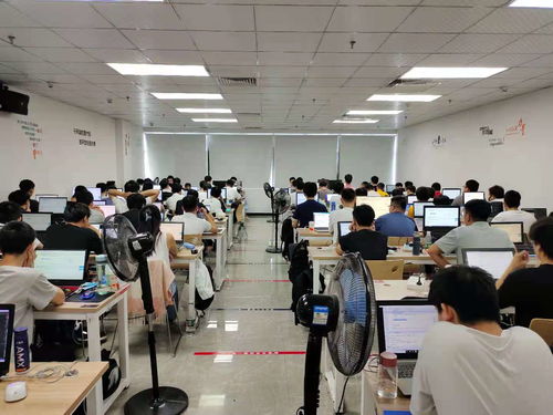 新起點，新夢想 在黑馬程序員技術社區揚帆起航