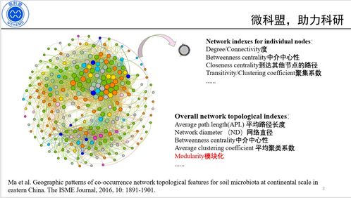 0基礎(chǔ)學(xué)會構(gòu)建微生物生態(tài)相關(guān)性網(wǎng)絡(luò)